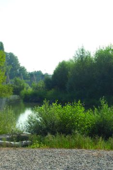 Río Segre en las proximidades del Parque de la Mitjana